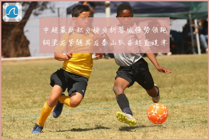 中超最新积分榜分析蓉城强势领跑铜梁龙紧随其后泰山队奋起直追津门虎仍需努力