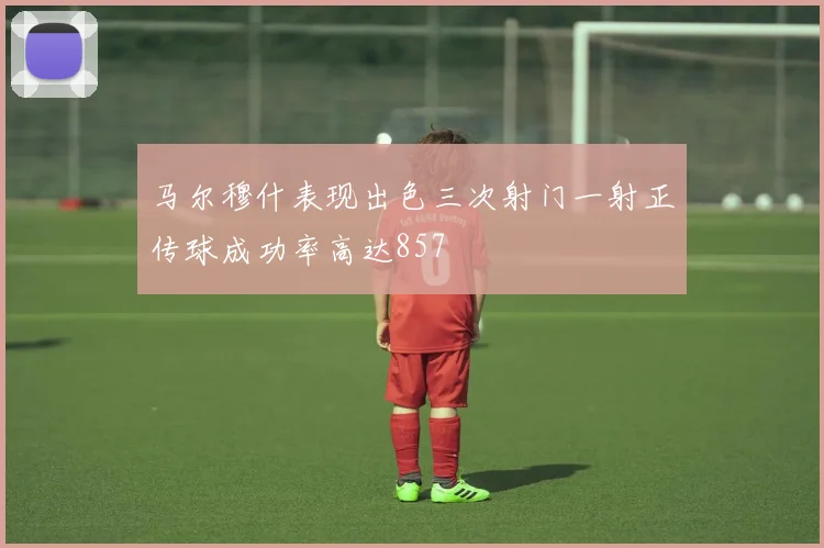 马尔穆什表现出色三次射门一射正传球成功率高达857