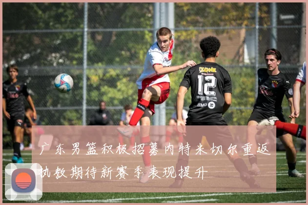 广东男篮积极招募内特米切尔重返执教期待新赛季表现提升