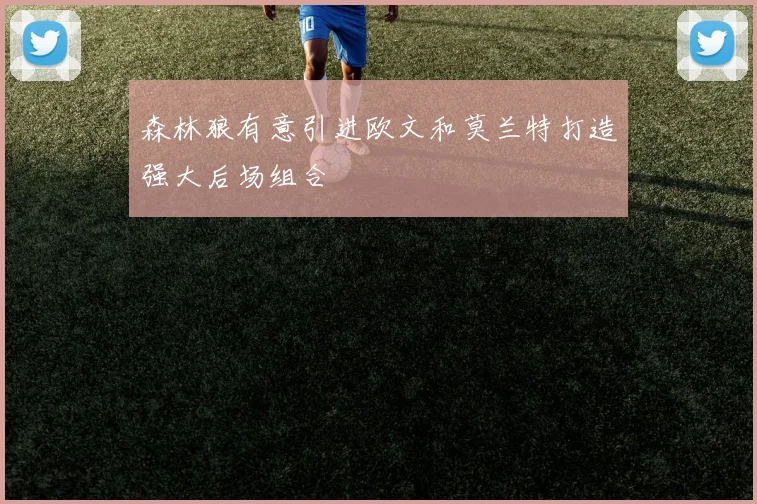 森林狼有意引进欧文和莫兰特打造强大后场组合