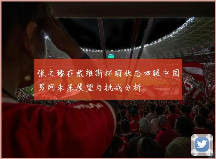 张之臻在戴维斯杯前状态回暖中国男网未来展望与挑战分析